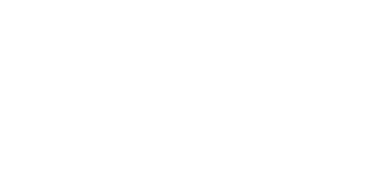 Busch & Partner – Content for Finance